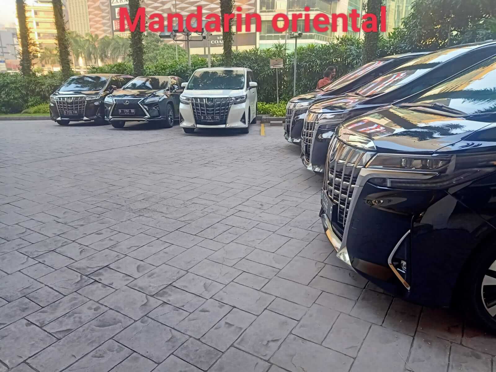 rental mobil murah
